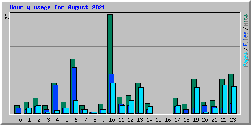Hourly usage for August 2021