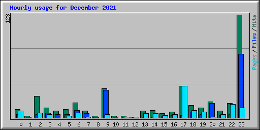 Hourly usage for December 2021