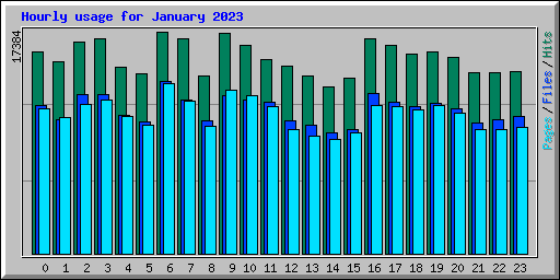 Hourly usage for January 2023