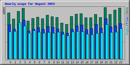 Hourly usage for August 2023