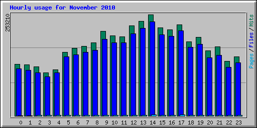 Hourly usage for November 2010